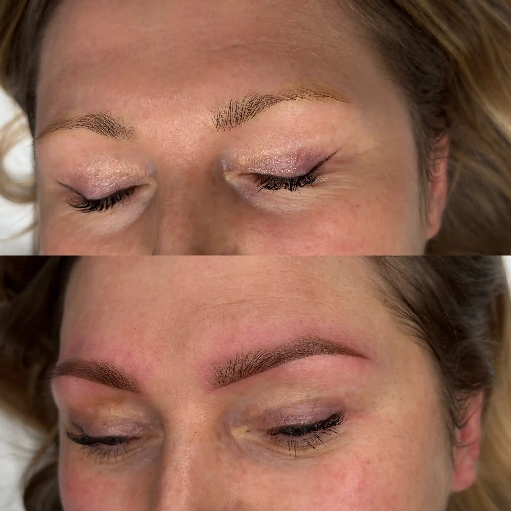 POWDER BROWS